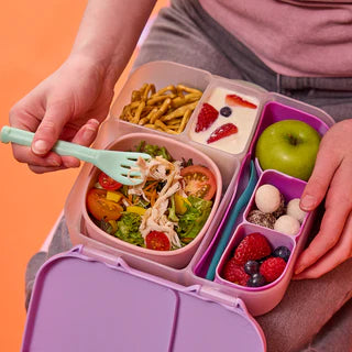B.box Bento Buddy Tray Lunch