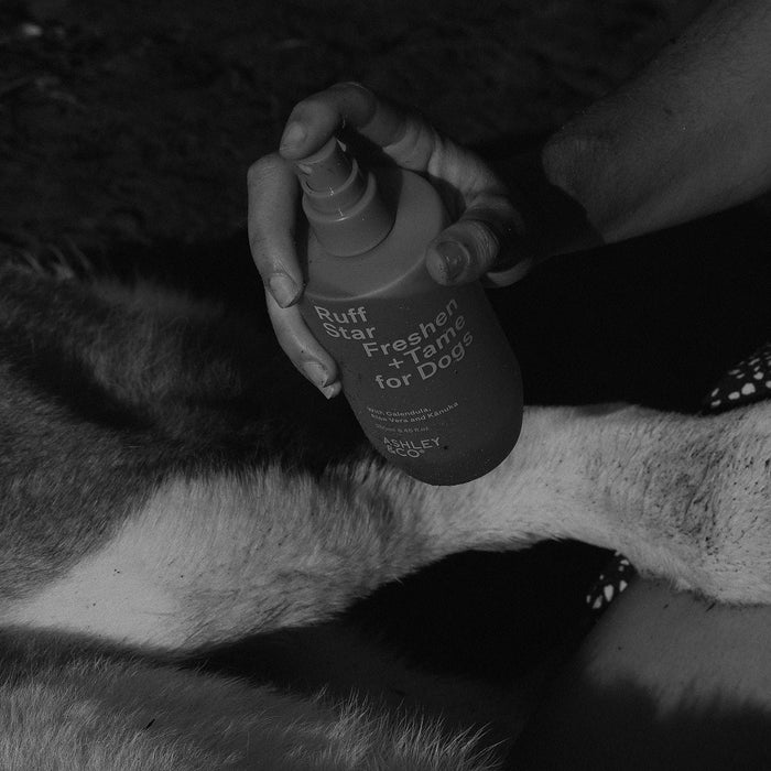 Ashley & Co Ruff Star Freshen + Tame for Dogs - lifestyle photo