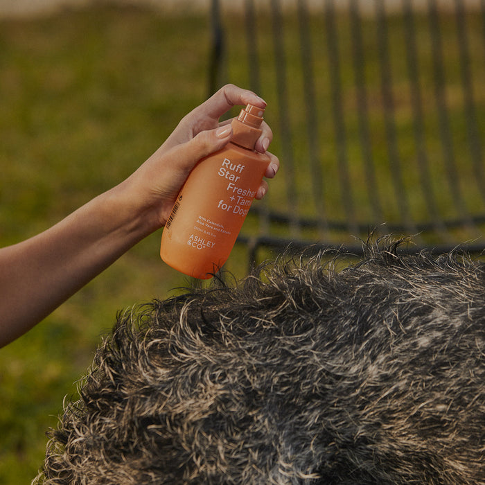 Ashley & Co Ruff Star Freshen + Tame for Dogs - lifestyle photo