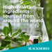 Blackmores Travel Calm Ginger - image 4