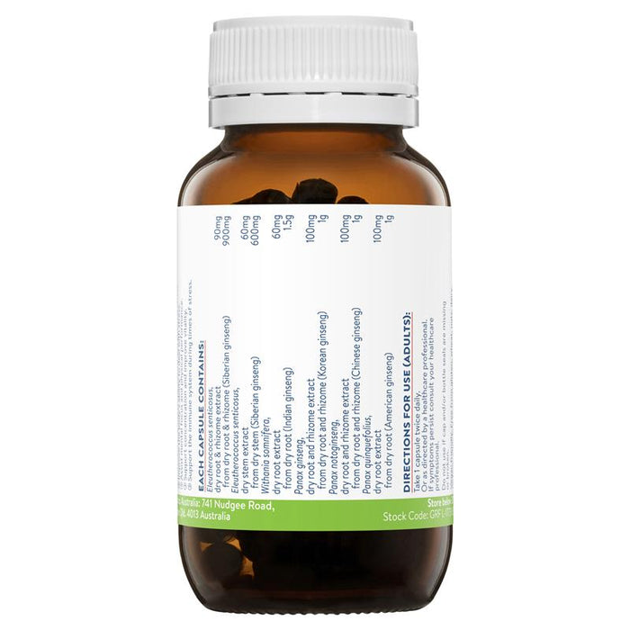 Ethical Nutrients Ginseng 5 Exhaustion Relief (60 caps) - image 2