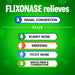 Flixonase Nasal Spray - image 2